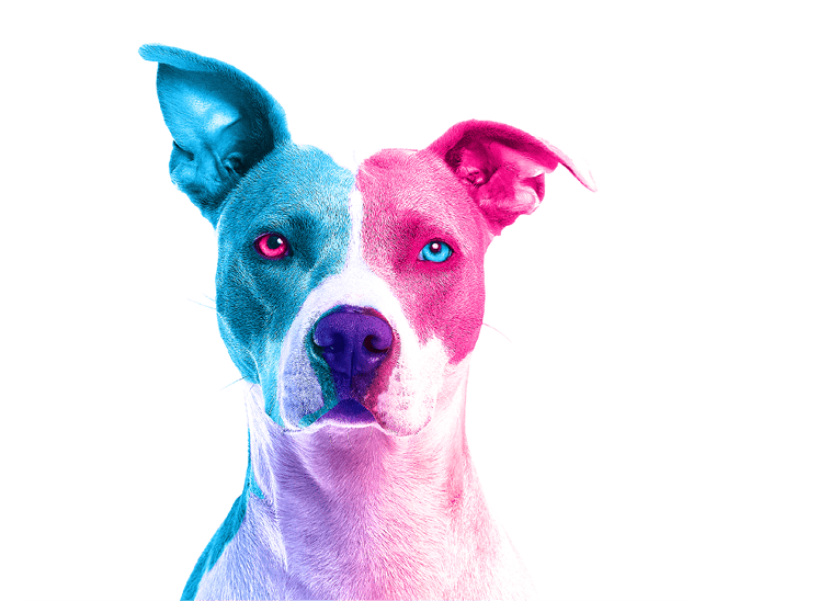 test D.psd