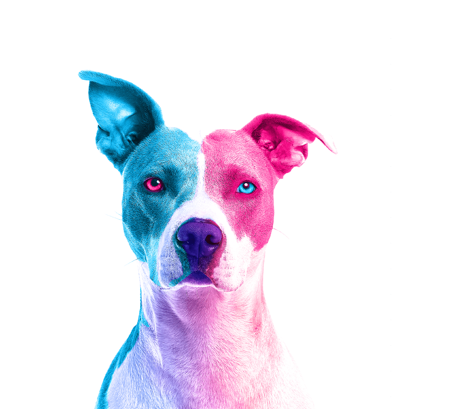 test D.psd